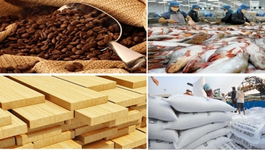 Tổng giá trị xuất khẩu nông, lâm, thủy sản 11 tháng đầu năm 2018 đạt 36,3 tỷ USD