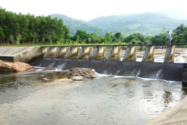11 tháng đầu năm, ngành nông nghiệp giải ngân ước đạt 8.227,1 tỷ đồng