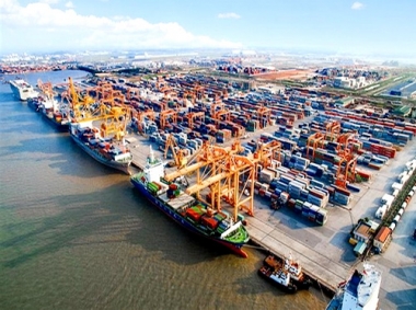 Bất chấp Covid-19, Việt Nam vẫn xuất siêu kỷ lục 20,1 tỷ USD trong 11 tháng