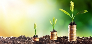 Huy động tài chính xanh hướng tới mục tiêu phát triển bền vững:  Kinh nghiệm quốc tế và bài học cho Việt Nam