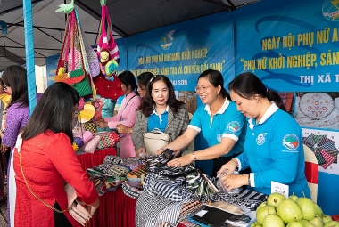 Đề xuất mô hình nghiên cứu các nhân tố tác động đến động lực làm việc  của cán bộ Hội phụ nữ  cấp cơ sở
