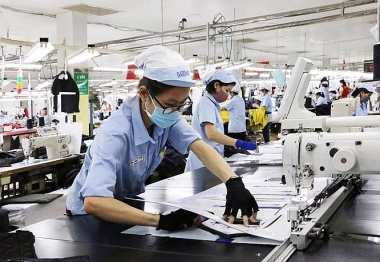 Xu hướng thu nhập cá nhân người lao động trong các doanh nghiệp nhỏ và vừa ở Việt Nam