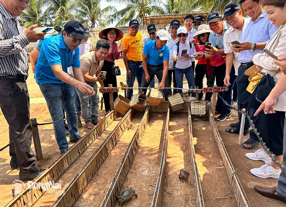 Phát triển nguồn nhân lực du lịch trong bối cảnh hội nhập: Từ tổng quan tài liệu đến khung năng lực đề xuất cho Đồng Nai