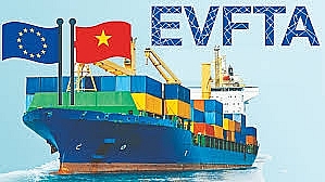 Tận dụng EVFTA để ứng phó với căng thẳng thương mại: Khuyến nghị cho doanh nghiệp nhỏ và vừa tại Việt Nam