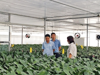 Gắn kết nhiệm vụ khoa học, công nghệ và đổi mới sáng tạo với phát triển kinh tế, xã hội