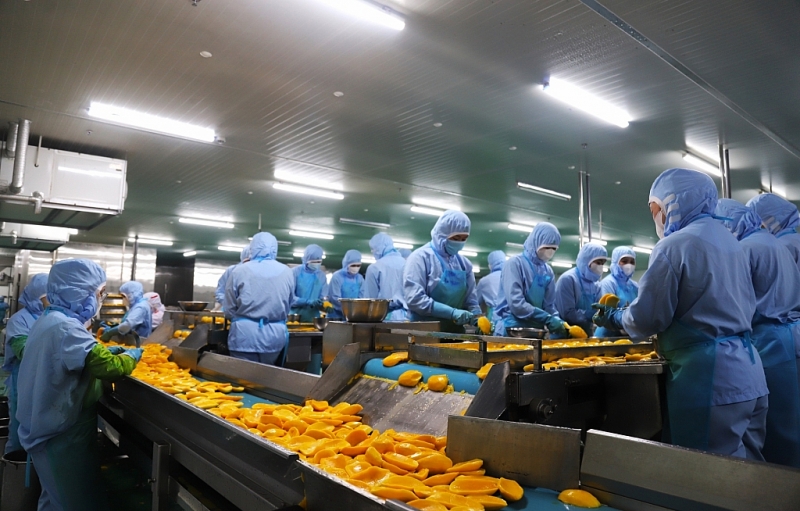 Ban Quản lý các KCN tỉnh Lâm Đồng vững vàng vượt qua thách thức, triển khai thành công nhiệm vụ phát triển KCN năm 2023 Ban Quản lý các KCN tỉnh Lâm Đồng vững vàng vượt qua thách thức, triển khai thành công nhiệm vụ phát triển KCN năm 2023