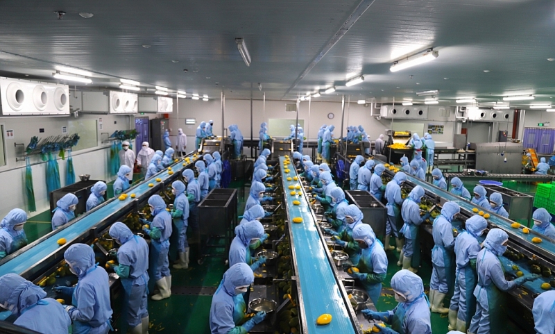 Ban Quản lý các KCN tỉnh Lâm Đồng vững vàng vượt qua thách thức, triển khai thành công nhiệm vụ phát triển KCN năm 2023 Ban Quản lý các KCN tỉnh Lâm Đồng vững vàng vượt qua thách thức, triển khai thành công nhiệm vụ phát triển KCN năm 2023