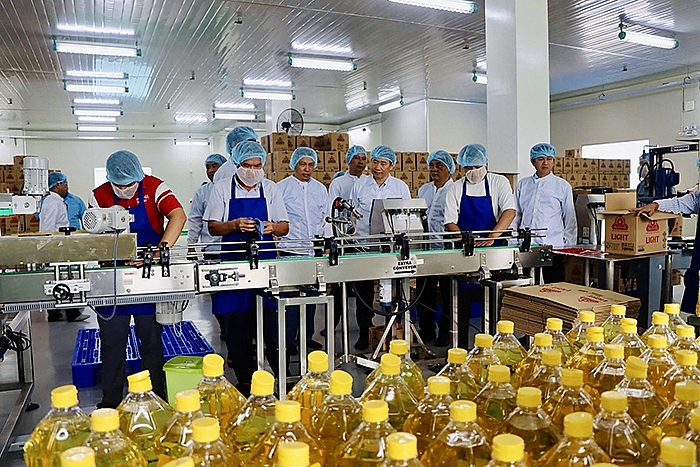 Ban Quản lý Khu kinh tế tỉnh Đồng Tháp: Phát huy vai trò quản lý nhà nước, xây dựng và phát triển KKT và các KCN ngày càng phát triển vững mạnh
