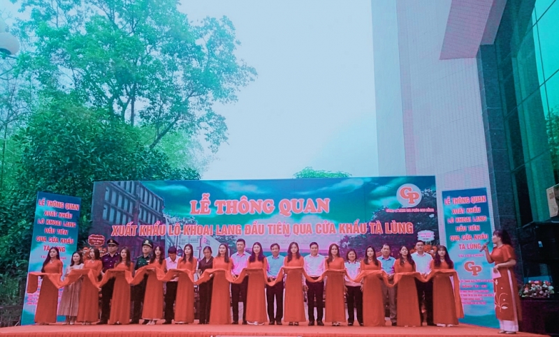 Xuất khẩu lô khoai lang đầu tiên của Việt Nam sang Trung Quốc qua cửa khẩu Tà Lùng, tỉnh Cao Bằng Xuất khẩu lô khoai lang đầu tiên của Việt Nam sang Trung Quốc qua cửa khẩu Tà Lùng, tỉnh Cao Bằng
