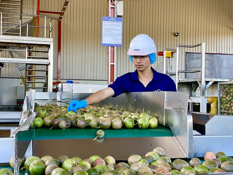 Gia Lai đẩy mạnh phát triển khu kinh tế, khu công nghiệp Gia Lai đẩy mạnh phát triển khu kinh tế, khu công nghiệp
