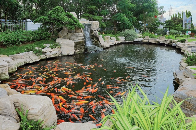 Hải Phòng mời gọi đầu tư xây dựng nhà máy xử lý chất thải rắn, góp phần kiến tạo môi trường phát triển bền vững và thúc đẩy thu hút đầu tư vào các KCN, KKT Hải Phòng mời gọi đầu tư xây dựng nhà máy xử lý chất thải rắn, góp phần kiến tạo môi trường phát triển bền vững và thúc đẩy thu hút đầu tư vào các KCN, KKT