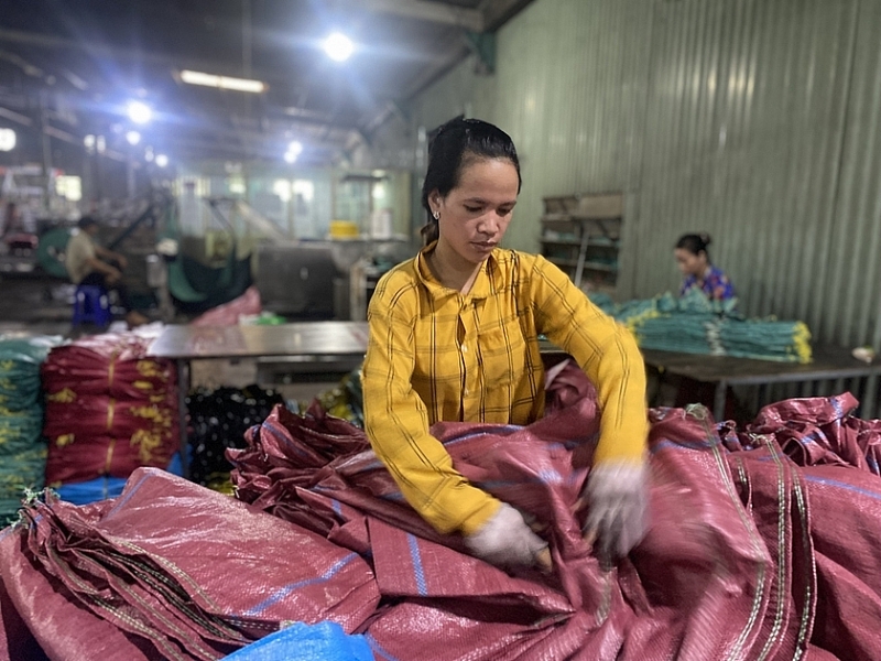 Các KCN, KKT phát huy vai trò động lực phát triển kinh tế tỉnh Gia Lai Các KCN, KKT phát huy vai trò động lực phát triển kinh tế tỉnh Gia Lai