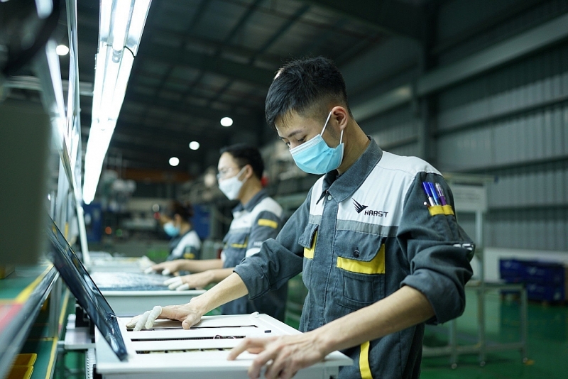 Giza Group và thập kỷ chinh phục khát vọng của doanh nghiệp Việt