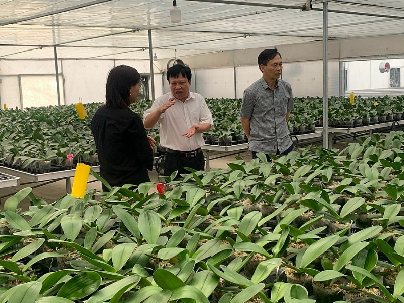 Sở Khoa học và Công nghệ Nam Định: Nhìn lại chặng đường 60 năm xây dựng và phát triển Sở Khoa học và Công nghệ Nam Định: Nhìn lại chặng đường 60 năm xây dựng và phát triển