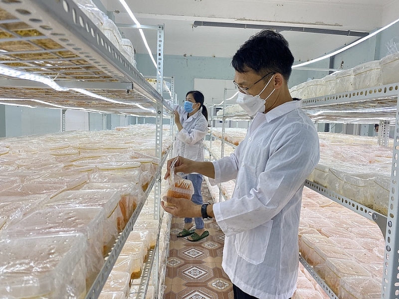 Sở Khoa học và Công nghệ Nam Định: Nhìn lại chặng đường 60 năm xây dựng và phát triển Sở Khoa học và Công nghệ Nam Định: Nhìn lại chặng đường 60 năm xây dựng và phát triển