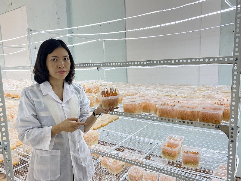 Sở Khoa học và Công nghệ Nam Định: Nhìn lại chặng đường 60 năm xây dựng và phát triển Sở Khoa học và Công nghệ Nam Định: Nhìn lại chặng đường 60 năm xây dựng và phát triển