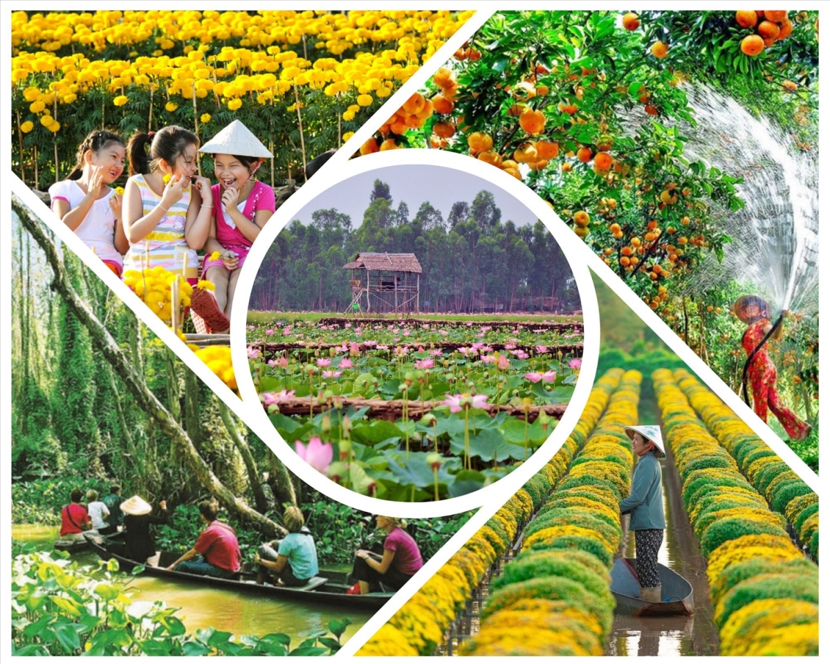 Phát triển du lịch tiểu vùng Đồng Tháp Mười: Thực trạng và giải pháp