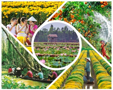 Phát triển du lịch tiểu vùng Đồng Tháp Mười: Thực trạng và giải pháp