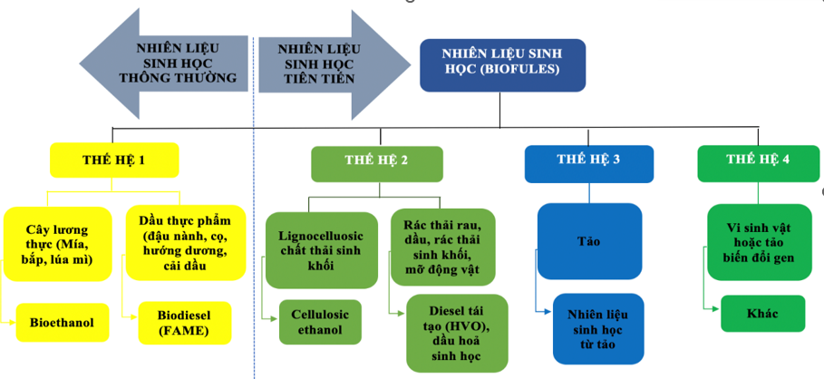Thị trường tín chỉ carbon cho ngành vận tải hàng hóa đường bộ tại  Việt Nam: Cơ hội và thách thức