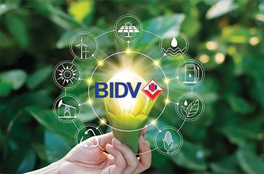 Chính sách tín dụng xanh trong hệ thống ngân hàng Việt Nam: Nghiên cứu trường hợp BIDV