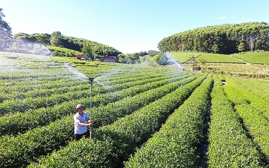 Các nhân tố tác động đến mức độ hợp tác trong chuỗi cung ứng ngành nông nghiệp ở khu vực Bắc Trung Bộ