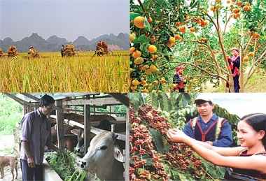 Vai trò của vốn xã hội trong thúc đẩy khởi nghiệp kinh doanh nông nghiệp