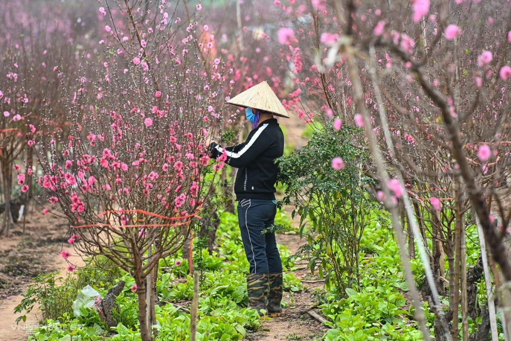 Việt Nam cần có một cơ chế cấp vốn sáng tạo và nhanh chóng Việt Nam cần có một cơ chế cấp vốn sáng tạo và nhanh chóng