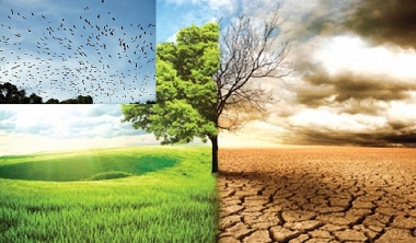 Ban hành Hệ thống giám sát và đánh giá hoạt động thích ứng với biến đổi khí hậu