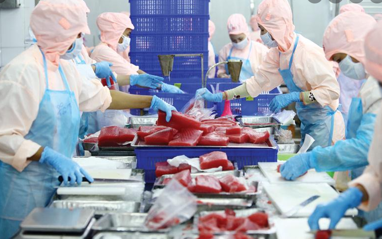 Ngành thủy sản, phân bón, hóa chất sẽ là tiêu điểm đầu tư trong bối cảnh mới Ngành thủy sản, phân bón, hóa chất sẽ là tiêu điểm đầu tư trong bối cảnh mới