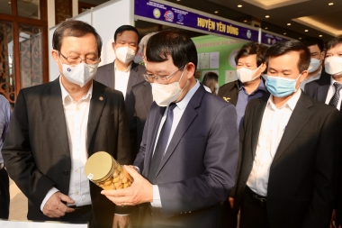 Không chú trọng sở hữu trí tuệ, sẽ không có sản phẩm công nghệ cao