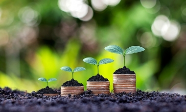 IOSCO thông qua kế hoạch hoạt động nhằm phát triển tài chính bền vững