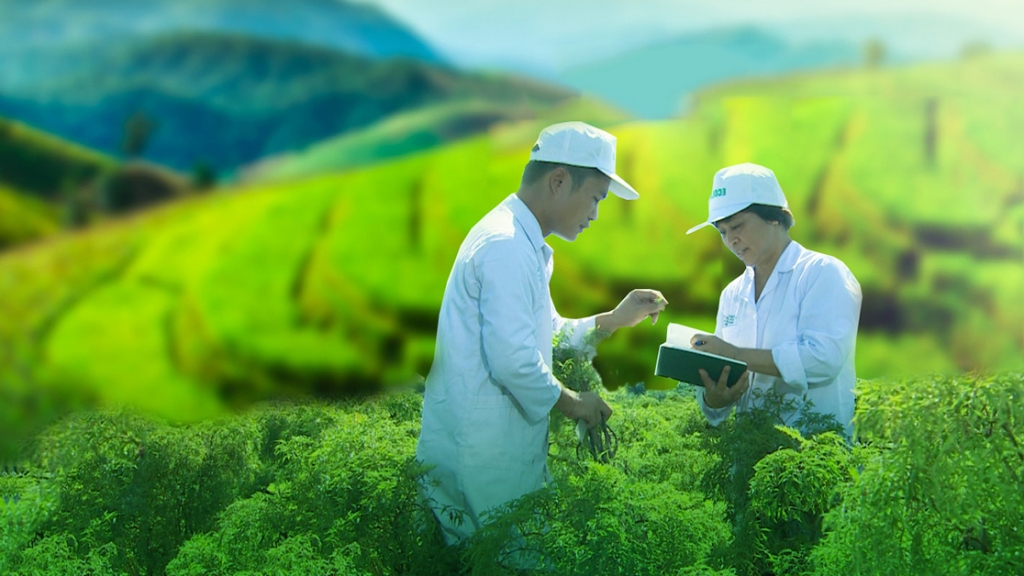 Tích hợp ESG là cơ hội để các công ty tinh chỉnh, bảo vệ và tạo ra giá trị kinh doanh Tích hợp ESG là cơ hội để các công ty tinh chỉnh, bảo vệ và tạo ra giá trị kinh doanh