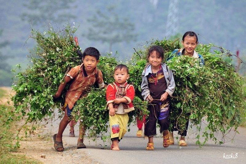 Thủ tướng phê duyệt danh sách 3.434 xã vùng đồng bào dân tộc thiểu số và miền núi