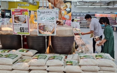Kinh tế Việt Nam đang trong tình trạng vững mạnh…