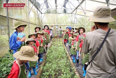 Các công ty con của Egroup tổ chức trại hè ấn tượng cho các học viên