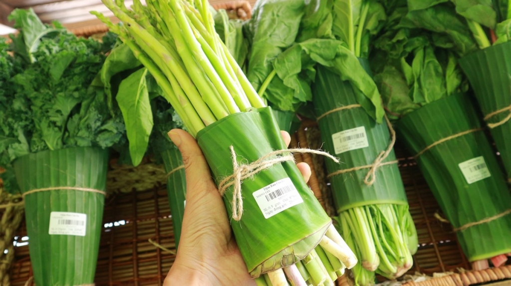 Việt Nam cần một lộ trình chính sách nhằm giảm con số 3,1 triệu tấn chất thải nhựa hàng năm Việt Nam cần một lộ trình chính sách nhằm giảm con số 3,1 triệu tấn chất thải nhựa hàng năm