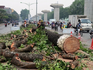 Khởi tố vụ án tại Ban Duy tu Sở Xây dựng Hà Nội và Công ty Công viên cây xanh Hà Nội