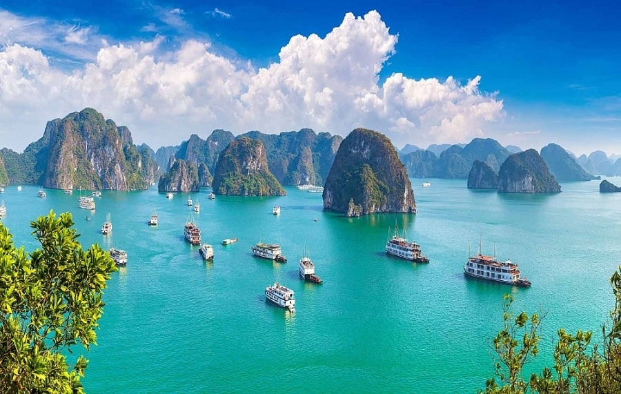 Bàn giải pháp khôi phục ngành du lịch trước tác động của đại dịch Covid-19