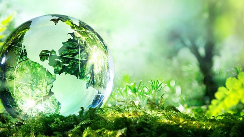 OECD nhận định, tăng trưởng toàn cầu năm 2021 là 5,7%; năm 2022 là 4,5% OECD nhận định, tăng trưởng toàn cầu năm 2021 là 5,7%; năm 2022 là 4,5%