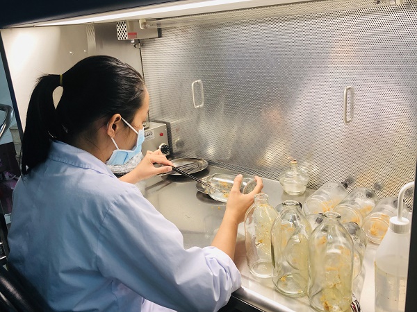 Truyền cảm hứng phát triển đất nước dựa vào khoa học công nghệ và đổi mới sáng tạo Truyền cảm hứng phát triển đất nước dựa vào khoa học công nghệ và đổi mới sáng tạo