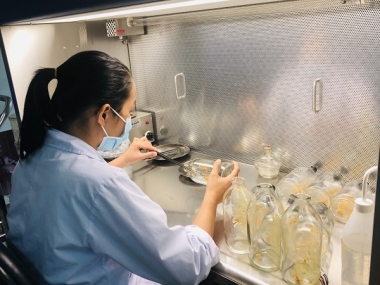 Truyền cảm hứng phát triển đất nước dựa vào khoa học công nghệ và đổi mới sáng tạo