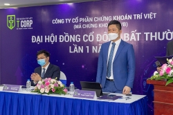 Lãi lớn, Chứng khoán Trí Việt điều chỉnh lợi nhuận tăng 3 lần