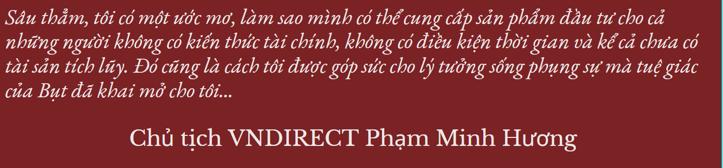 Chủ tịch VNDIRECT: “Đã có đường đi rồi, tôi không còn lo sợ nữa”