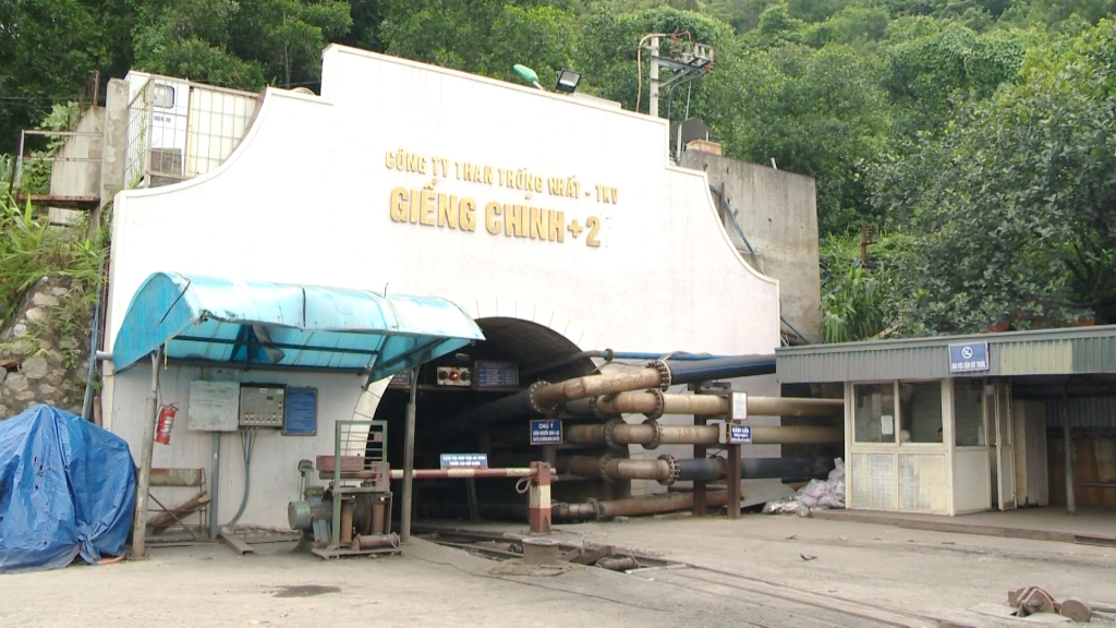 TKV yêu cầu các đơn vị chủ động đối phó bão số 1, đảm bảo an toàn sản xuất kinh doanh