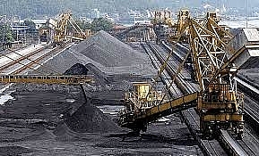 Lời giải nào cho bài toán giá than