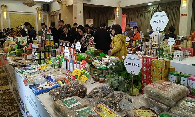 Kết nối cung cầu doanh nghiệp và địa phương tạo cơ hội hợp tác và thúc đẩy tăng trưởng kinh tế