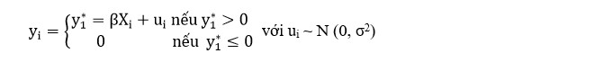 Các nhân tố ảnh hưởng đến lượng vốn vay của hộ sản xuất nông nghiệp tại Agribank Chi nhánh huyện Vĩnh Thuận – Kiên Giang II Các nhân tố ảnh hưởng đến lượng vốn vay của hộ sản xuất nông nghiệp tại Agribank Chi nhánh huyện Vĩnh Thuận – Kiên Giang II