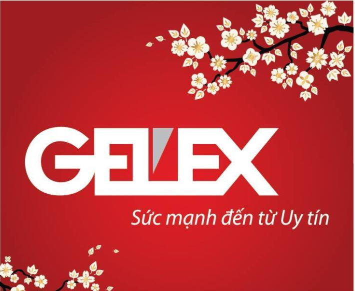 Sức khỏe tài chính cải thiện tích cực, GEX liên tục hút nhóm quỹ ngoại mua vào