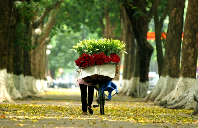 Khung pháp lý quy định về miễn đăng ký kinh doanh tại Việt Nam