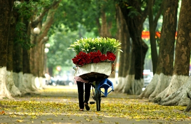 Khung pháp lý quy định về miễn đăng ký kinh doanh tại Việt Nam